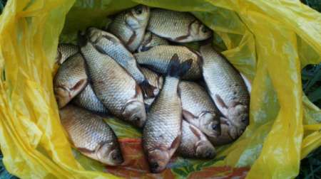 Карась на Горелом