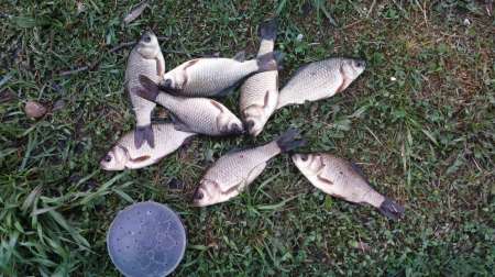 Карась на Горелом