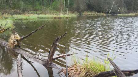 Карась на Горелом