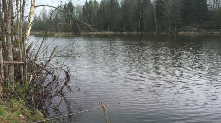 Карась на Горелом