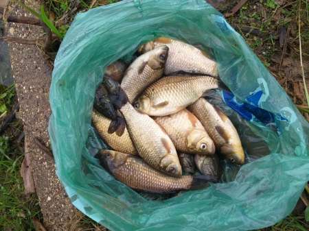 Классика. Поплавок на деревенском пруду. Классика. Поплавок на деревенском пруду.