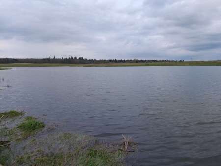 Классика. Поплавок на деревенском пруду. Классика. Поплавок на деревенском пруду.
