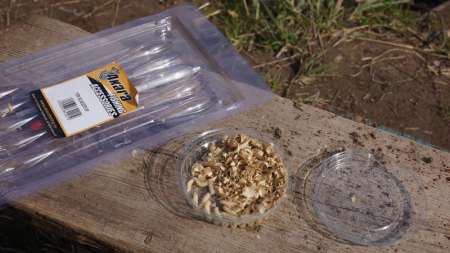 Ловля на сбирулино