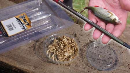 Ловля на сбирулино