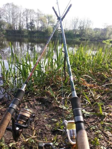 Ловля трофейного жереха на реке Ловля трофейного жереха на реке