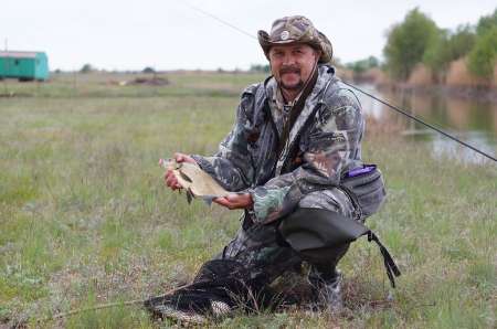 Маис рулит Маис рулит