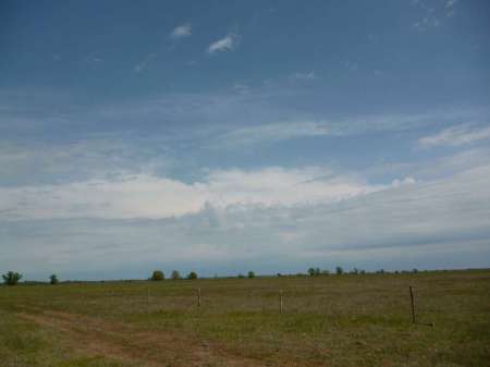 Маис рулит Маис рулит