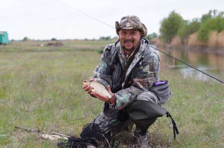 Маис рулит Маис рулит