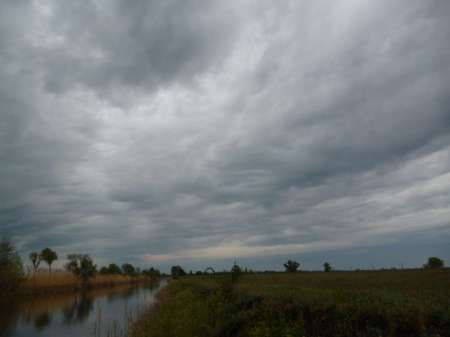 Маис рулит Маис рулит