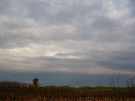 Маис рулит Маис рулит