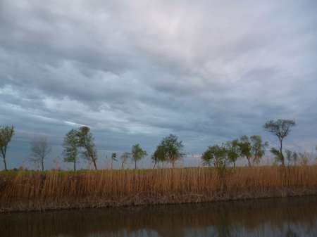 Маис рулит Маис рулит