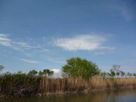 Маис рулит Маис рулит