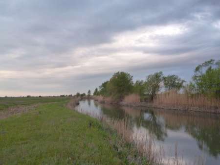 Маис рулит Маис рулит