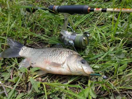 Микроджиг. На одну приманку весь день. Микроджиг. На одну приманку весь день.