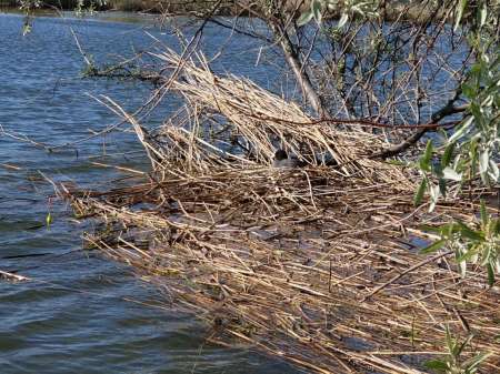Микроджиг. На одну приманку весь день. Микроджиг. На одну приманку весь день.