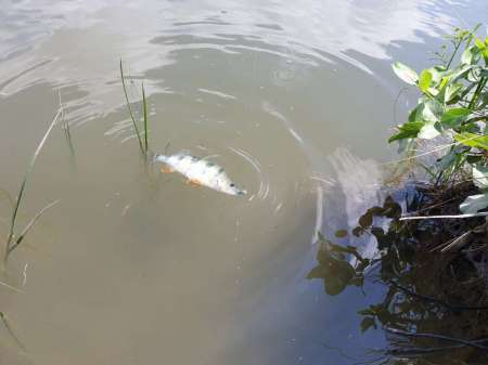 Микроджиг. На одну приманку весь день. Микроджиг. На одну приманку весь день.