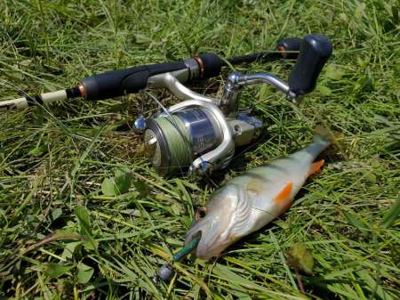 Микроджиг. На одну приманку весь день. Микроджиг. На одну приманку весь день.