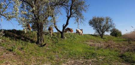 Микроджиг. На одну приманку весь день. Микроджиг. На одну приманку весь день.