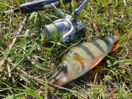 Микроджиг. На одну приманку весь день. Микроджиг. На одну приманку весь день.