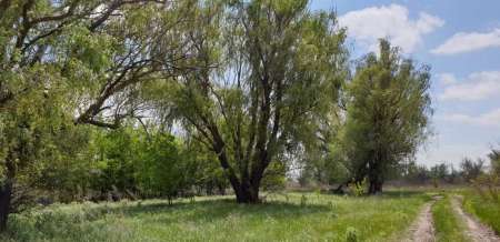 Микроджиг. На одну приманку весь день. Микроджиг. На одну приманку весь день.