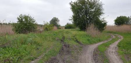 Микроджиг. На одну приманку весь день. Микроджиг. На одну приманку весь день.