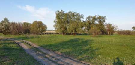 Окунь, окунь и только окунь... Окунь, окунь и только окунь...