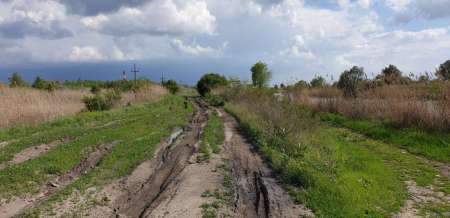 Окунь, окунь и только окунь... Окунь, окунь и только окунь...