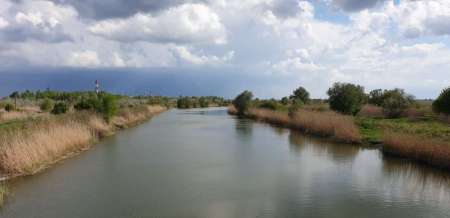 Окунь, окунь и только окунь... Окунь, окунь и только окунь...