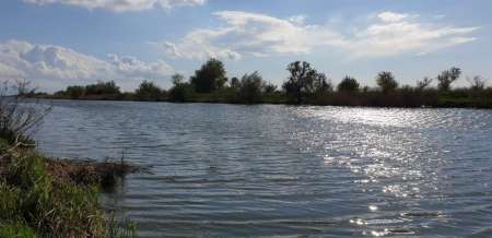 Окунь, окунь и только окунь... Окунь, окунь и только окунь...