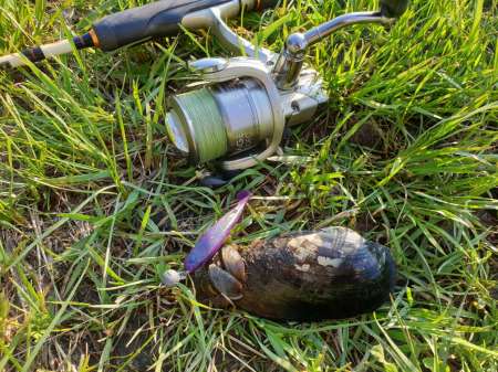 Окунь, окунь и только окунь... Окунь, окунь и только окунь...