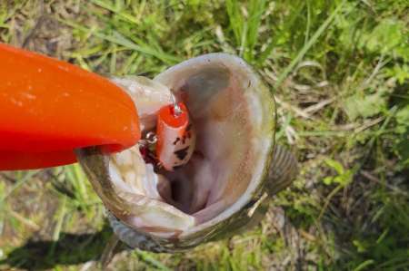 Отличный воблер на щуку летом. Топвотер (Тopwater). Отличный воблер на щуку летом. Топвотер (Тopwater).