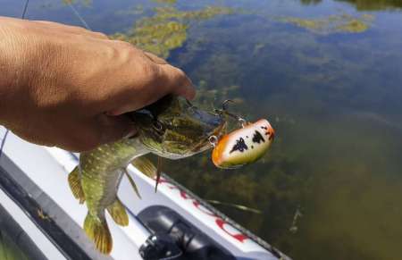 Отличный воблер на щуку летом. Топвотер (Тopwater). Отличный воблер на щуку летом. Топвотер (Тopwater).
