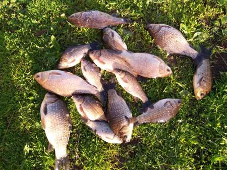 Плохая погода? Не, не слышал! В Саньково. Плохая погода? Не, не слышал! В Саньково.