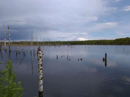 Плохая погода? Не, не слышал! В Саньково. Плохая погода? Не, не слышал! В Саньково.