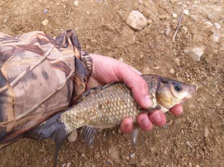 Плохая погода? Не, не слышал! В Саньково. Плохая погода? Не, не слышал! В Саньково.