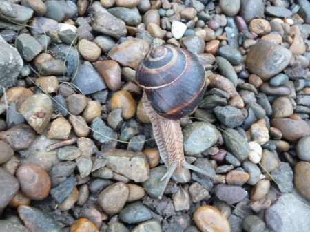 Поплавочное утро