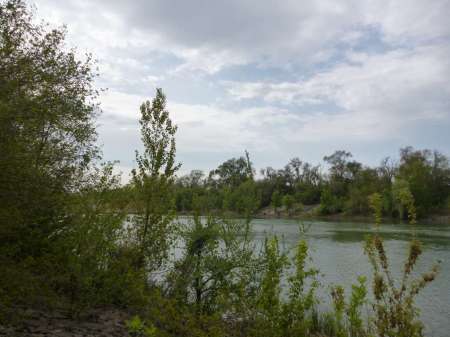 Последняя селёдка