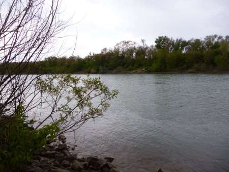 Последняя селёдка