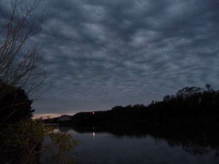 Последняя селёдка