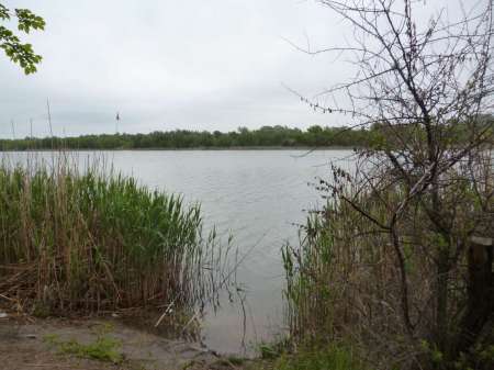 Просто здорово!