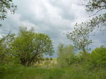 Просто здорово!