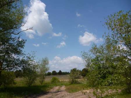 Просто здорово!