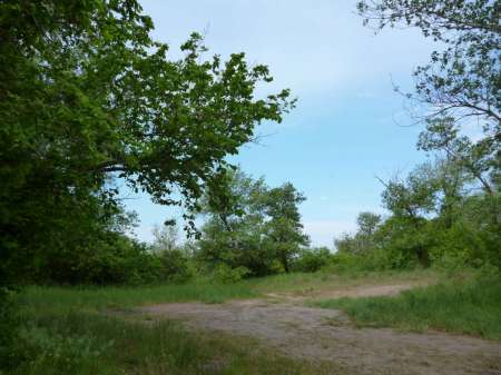 Просто здорово!