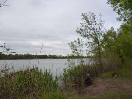 Просто здорово!