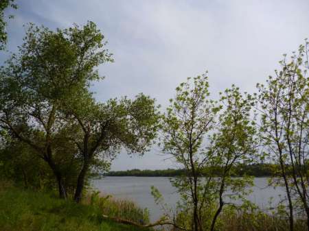 Просто здорово!