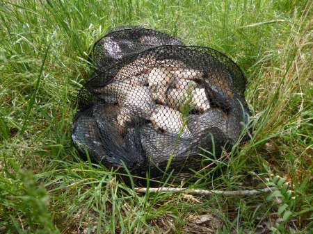 Просто здорово!