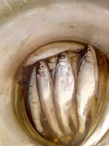 Проверка на реке