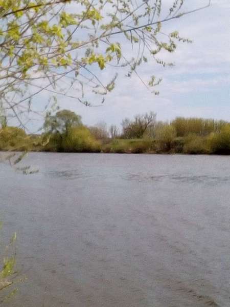 Проверка на реке