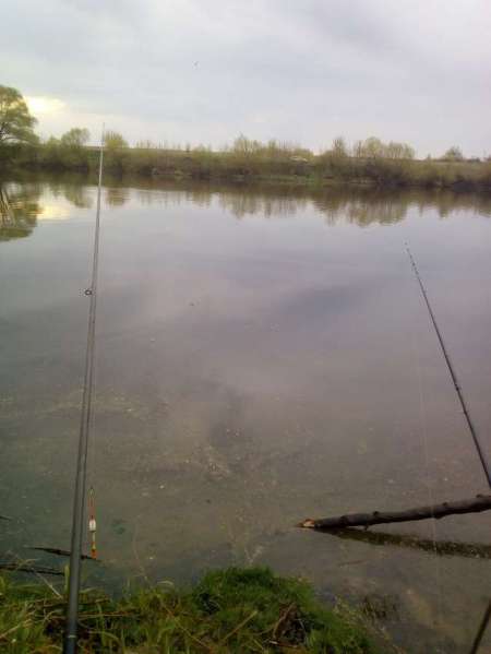 Проверка на реке