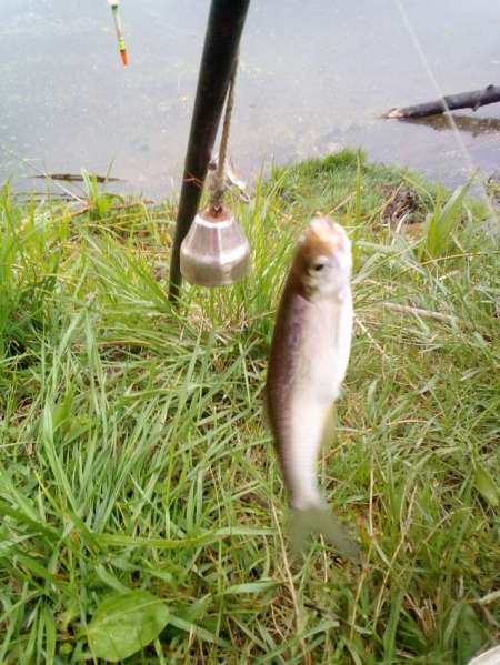 Проверка на реке